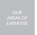 Our areas of expertise