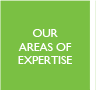 Our areas of expertise